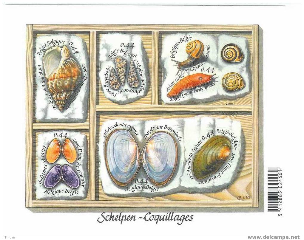 BELGIUM : Emission De 2005 - Schelpen / Coquillages (timbres Autocollants) - Coquillages