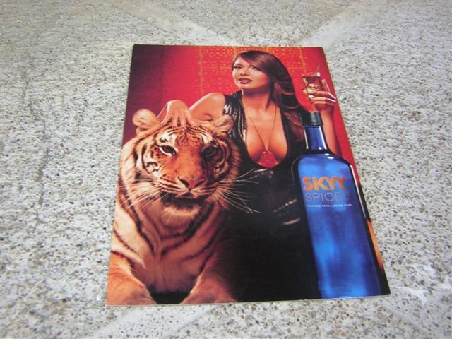 Cpm Pub Vodka USA Avec Un Beau Tigre ( Tiger ) - Tigres