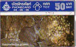 THAILANDE BICHE HOLOG 50 BAHTS SUPERBE UT - Thaïland