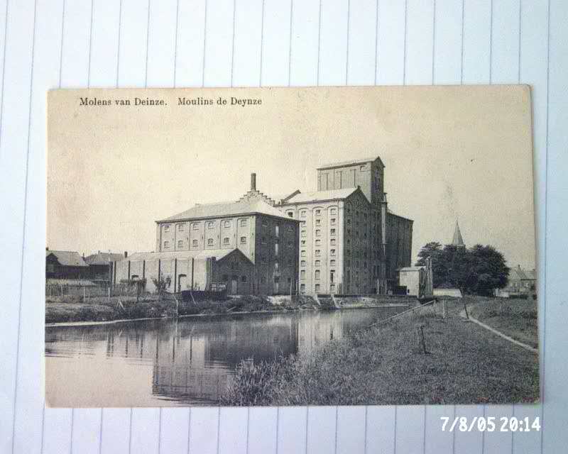 Deynze  Molen - Deinze