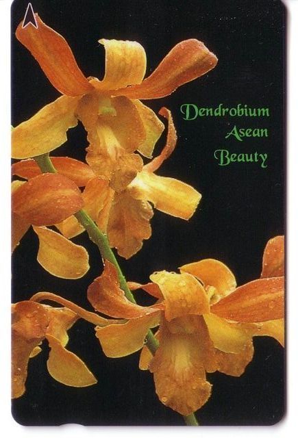 Singapore - Singapour -flora (flore) – Flower - Fleur (fleurs)- Flowers – Blume - Orchid - Orchidee - Orchids ( 83SIGC) - Singapore