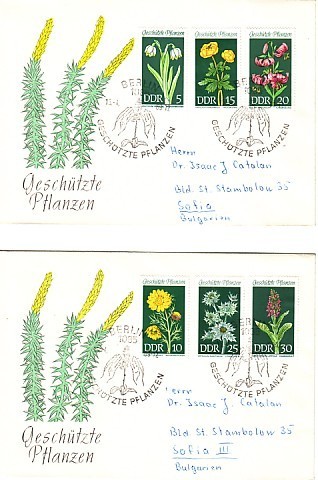 DDR ( Germany  ) FLOWERS - 1969   6v -  2 FDC - Andere & Zonder Classificatie