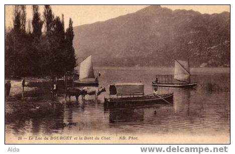 Le Lac Du Bourget Et La Dent Du Chat - Le Bourget Du Lac