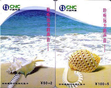 SEA SHELL - Coquille - Seashells – Conchiglia – Muschel – Seashell – Muszle - Shells  -  PUZZLE Set Of 2.cards - Peces
