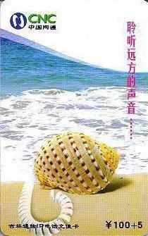 SEA SHELL - Coquille - Seashells – Conchiglia – Muschel – Seashell – Muszle - Shells - Concha Marina - - Peces