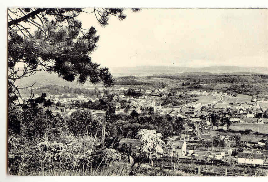 3799 - BARVAUX SUR OURTHE - Vue Panoramique - Durbuy