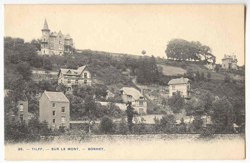3894 - TILFF - Sur Le Mont - Bonhey - Esneux
