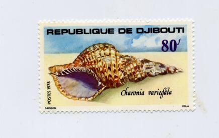 Djibouti N°487 Neuf Coquillage - Coquillages