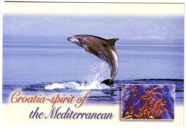 Dolphin – Delphin – Delfin – Dauphin - Dauphins - Dolphins - Coral - Corals - Coraux - Corail - Corails - Croatia MINT 3 - Dolfijnen