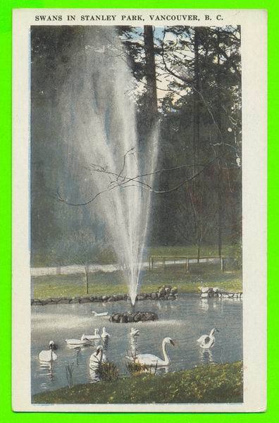 VANCOUVER,B.C. - SWANS IN STANLEY PARK - CARD NEVER BEEN USE - - Vancouver