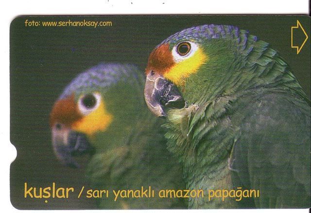 PARROTS - Turkey Old Rare Card * Parrot Perroquet Papagei Papageien Perroquets Pappagallo Papagaio Loro Pappagalli Loros - Turkey