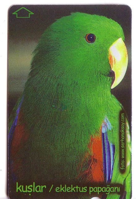 PARROTS - Turkey Old Rare Card * Parrot Perroquet Papagei Papageien Perroquets Pappagallo Papagaio Loro Pappagalli Loros - Türkei
