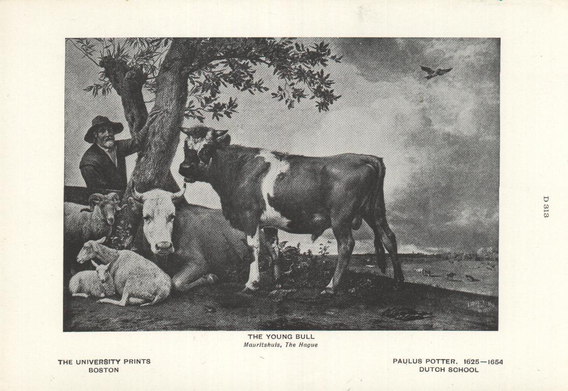 The Young Bull (Le Jeune Taureau) Par Paulus Potter - Sonstige & Ohne Zuordnung