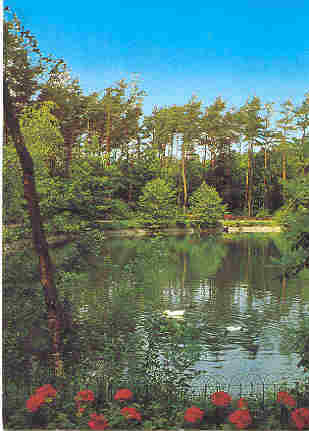 Zandhoven Domein Hoiidonk Langestraat Park Met Vijver - Zandhoven