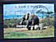 St- Thome Saint-Thomas  Greenpeace 1996 Bloc 163AC (°) Oblitéré Cote 3 € Faune Eléphant Olifant - Eléphants