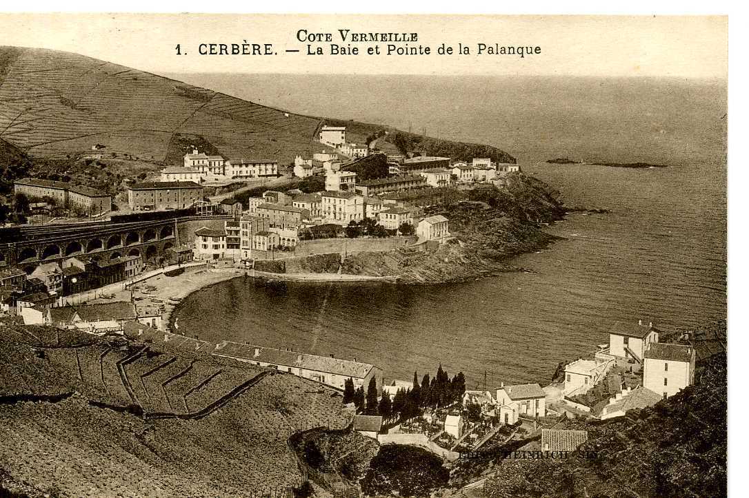 66 CERBERE La Baie Et Pointe De La Palanque (1) - Cerbere