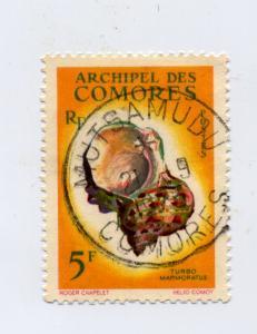 Comores N°22 Oblitéré Coquillage Turbo - Coquillages