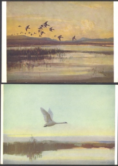 (4) Birds In Flight - Artist Signed Vernon Wood - Casino'