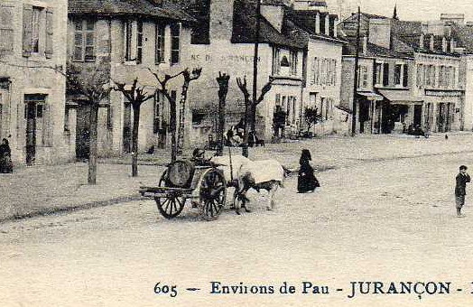 64 JURANCON Place Du Junqué, Animée, Attelage De Boeufs, Ed RN 605, 191? - Jurancon