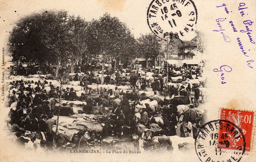 65 LANNEMEZAN Place Du Foirail, Jour De Marché Au Bétail, Foire, Beau Plan, Ed Cieutat, 1911, Dos 1900 - Lannemezan