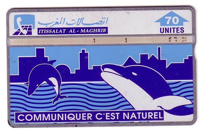 DOLPHIN  ( Marocco Old Issue Card ) * Dauphin Delfin Delphin Delfino Dolphins Dauphins Undersea  - See Scan For Cond. - Delphine