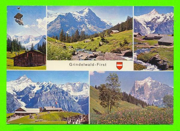 GRINDELWALD-FIRST, SUISSE - 5 MULTIVUES - COLORPHOTO H. STEINHAUER - - Grindelwald
