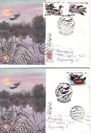 USSR - 1991 BIRDS -Ducks 3v.- 2 FDC (travel) - Canards