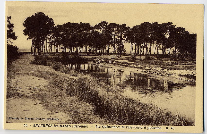 ANDERNOS LES BAINS  -  LES QUINCONCES ET RESERVOIRS A POISSONS - Andernos-les-Bains