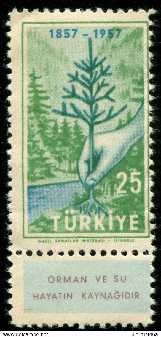 Pays : 489,1 (Turquie : République)  Yvert Et Tellier N° :  1334 (**) + Vignettes ; Michel 1532 Z FI + 1532 Z FII - Used Stamps