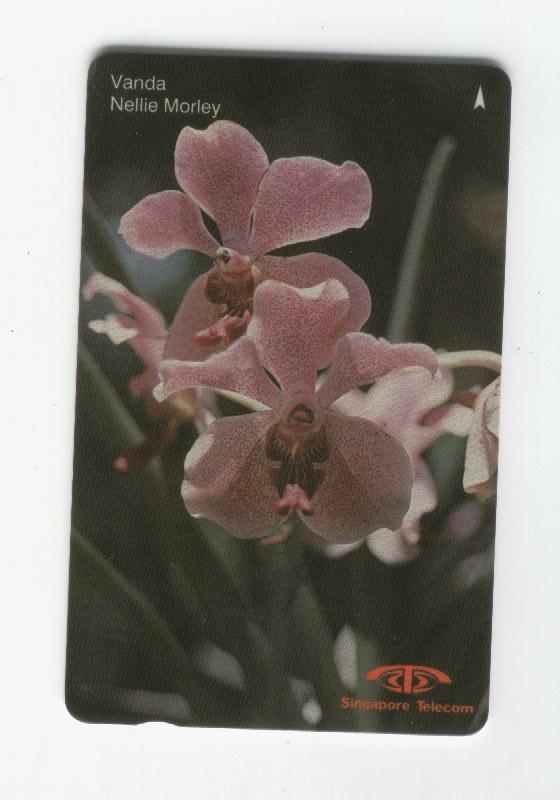 Singapore - Singapour –flora  –fleur(fleurs)- Flowers – Flower- Orchid - Orchidee - Orchids (code 11SIGE)- Rare , 50.$ - Singapour