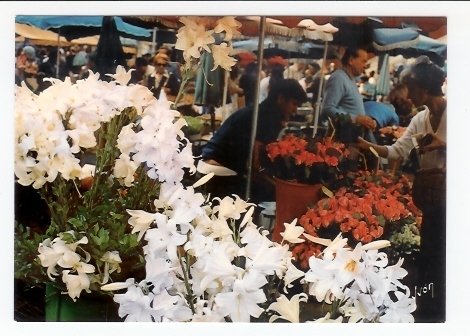Nice: Marché Aux Fleurs, Lys (05-3951) - Markets, Festivals