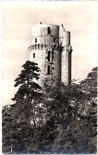 91 MONTLHERY Seine Et Oise La Tour Du Chateau - Montlhery