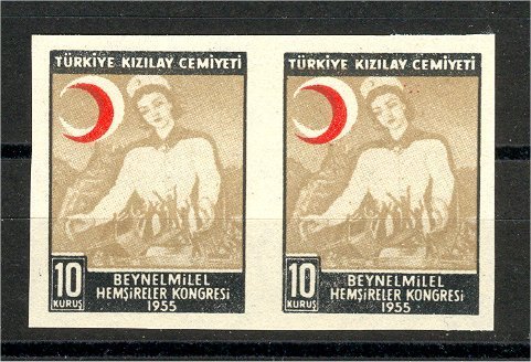 TURKEY POSTAL TAX STAMP 1955, 10 KURUS IMPERFORATED PAIR, UNUSED NG - Charity Stamps