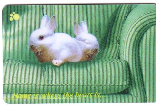 Singapore - Singapour - Rabbit - Conejo - Coniglio - Lapin – Kaninchen - RARE Card  50$  ( Code 133SIGE ) - Singapour