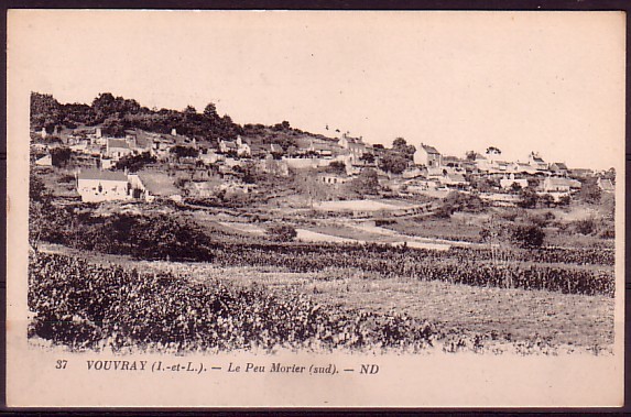 INDRE ET LOIRE - Vouvray - L'Echeneau - Le Peu Morier - Vouvray