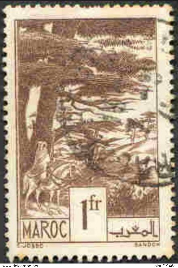 Pays : 315,9 (Maroc : Protectorat Français) Yvert Et Tellier N° :182 (o) - Used Stamps