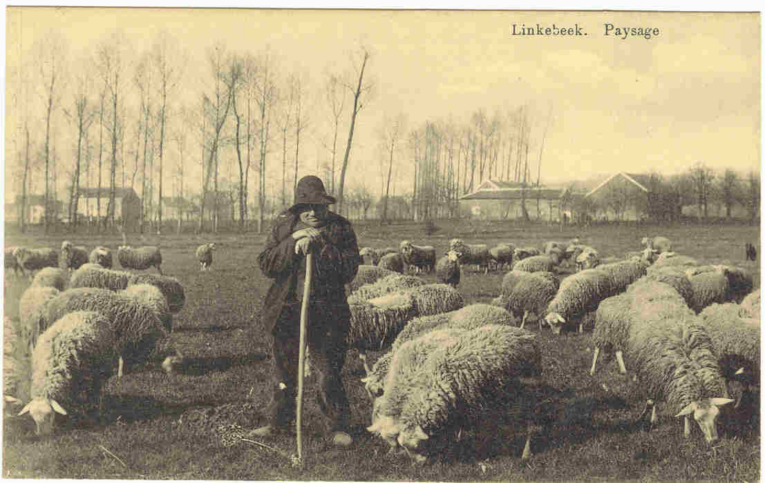 LINKEBEEK - PAYSAGE - Linkebeek