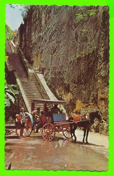 NASSAU,BAHAMAS - ESCALIER QUEEN - ANIMÉE -  LA CARTE À JAMAIS ÉTÉ UTILISÉE - - Bahamas