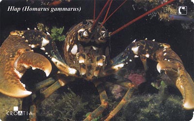 HOMARUS G. (Croatia ) Lobster - Homard - Hummer - Centollo - Aragosta * Crab - Crabe - Krabbe - Cangrejo - Granchio HLAP - Peces