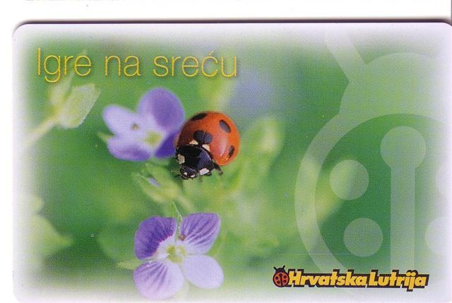 LADYBIRD - Coccinelle - Lady-bird - Coccinelles - Bug – Insect - Insecte - Child - Enfant - Childrens - Croatia 25.units - Croatie