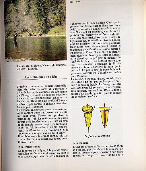 LE LIVRE DE LA PECHE  -  351 PAGES  -  NOMBREUSES PHOTOS ET ILLUSTRATIONS  -  1983 - Fischen + Jagen