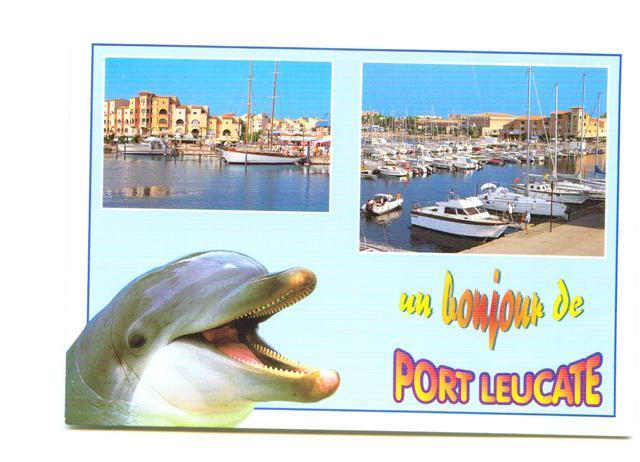 Cpm Theme Dauphin Un Bonjour De Port Leucate ( Dolphin ) - Dolphins