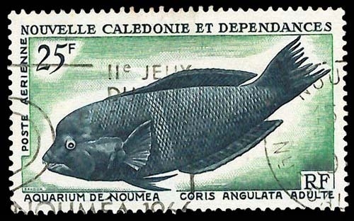 Nouvelle Calédonie-O (Y/T No, PA-083 - Aquarium De Nouméa) (o) - Usati