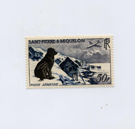 Saint Pierre Et Miquelon Poste Aérienne N°24 Neuf* Chien Et Paysage - Otros & Sin Clasificación