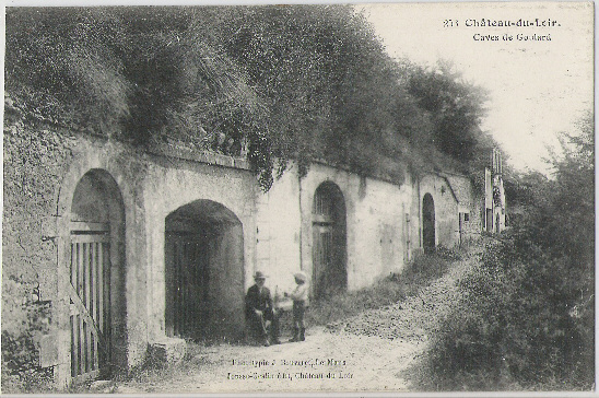 CHATEAU DU LOIR  CAVES  DE GOULARD - Chateau Du Loir