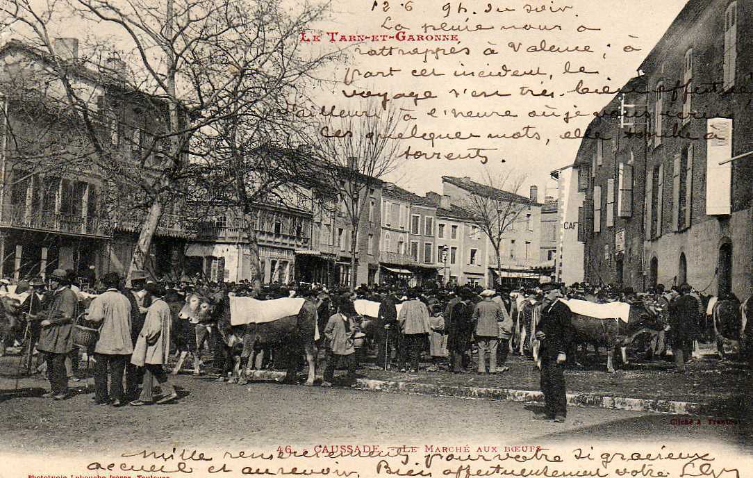 82 CAUSSADE Marché Aux Boeufs, Foire Trés Animée, Beau Plan, Ed Labouche 46, 1904, Dos 1900 - Caussade