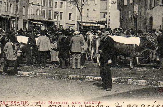 82 CAUSSADE Marché Aux Boeufs, Foire Trés Animée, Beau Plan, Ed Labouche 46, 1904, Dos 1900 - Caussade