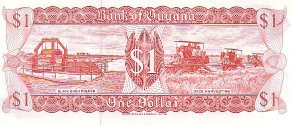 GUYANA   1 Dollar  Non Daté (1992)   Pick 21g   Signature 8    ***** BILLET  NEUF ***** - Guyana