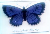 Germany-butterfly-2 - Altri & Non Classificati