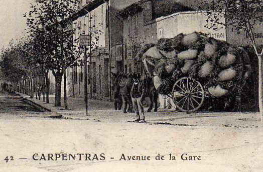 84 CARPENTRAS Avenue De La Gare, Animée, Terrasse De Café, Ed Brun 42, 1905 - Carpentras